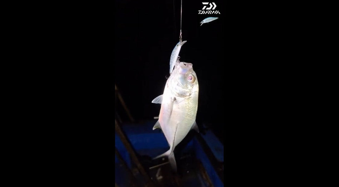Angler Aijo Okamura enjoying UL fishing using Daiwa Silver Creek Minnow lure - Ryoshi Pro Outiftters