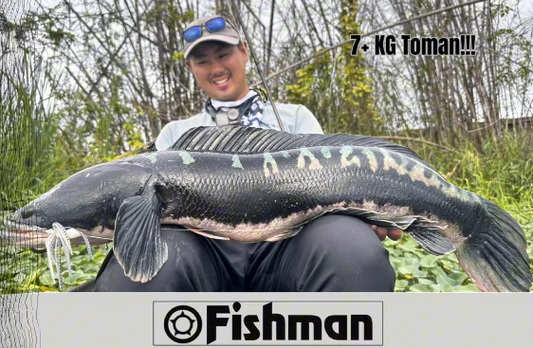 Watch the strength of Fishman BC4 rods with Fishman tester Takehiro Nakamura battling a 7kg + toman in Pampanga - Ryoshi Pro Outfitters