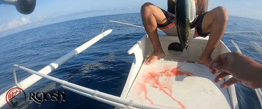 Isa pang yellow fin tuna ang nai land ni Angler / Ryoshi Pro Outfitters tester na si Tejz Ligan gamit ang Piratez Strike Vangurad 60/2 rod jigmax 80-300g - Ryoshi Pro Outiftters