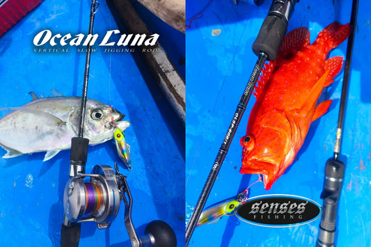 Senses Ocean luna rod used by Ryoshi Pro Outfitters tester angler Tejz Ligan landing multiple species of fish.  - Ryoshi Pro Outfitters