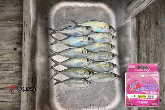 ProHunter Super Slim braid line proven and test line for ajing, very much recommended by angler Frenz Neil Abrigana.  - Ryoshi Pro Outfitters