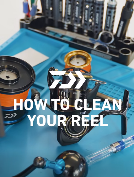 Reel Cleaning | Daiwa Service Tech Tips (c/o Daiwa Australia) - Ryoshi Pro Outfitters