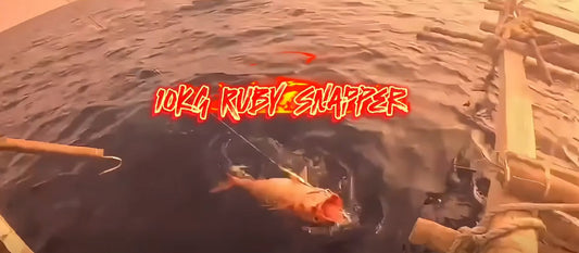Angler Jared Macapagal using the power of Daiwa Catalina SJ 60B-4 to land a 10kg Ruby snapper. - Ryoshi Pro Outfitters