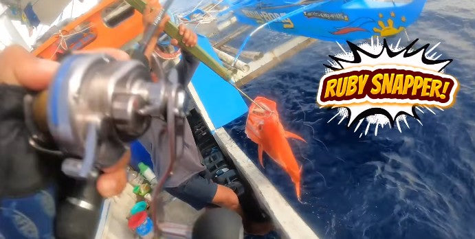 A good size ruby snapper caught on Piratez Strike Vanguard and Daiwa Saltiga 15 by angler Ryoshi Pro tester Tejz Ligan  - Ryoshi Pro Outfitters