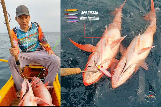 Congrats angler Sanvic Tiaga of Agmanic Romblon for landing another twin hook up of an 8kg and 7kg ruby snapper using RPO D1B84U Ikan Tamban finish jig. - Ryoshi Pro Outfitters