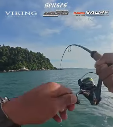 Senses Viking finesses casting rod, for casting light lures and jigs, capable of tackling big pelagic and predatory fishes - Ryoshi Pro Outfitters
