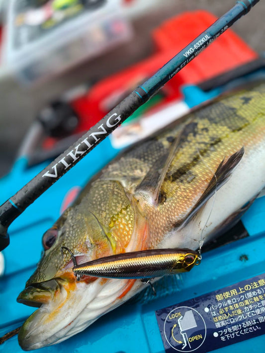 The Senses Viking Finesse Casting Rod is a lightweight, high-sensitivity fishing rod built by Senses Fishing for light-game luring, finesse casting, and micro-jigging. - Ryoshi Pro Outfitters