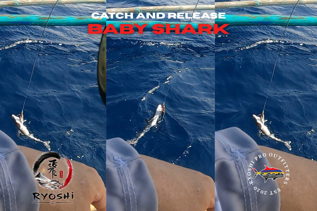 My catch and release baby shark caught during the 2nd Caluya Jigging Tournament, this shark cant resist the 200g RPO OU812 jig that is bigger than his mouth. - Ryoshi Pro Outfitters