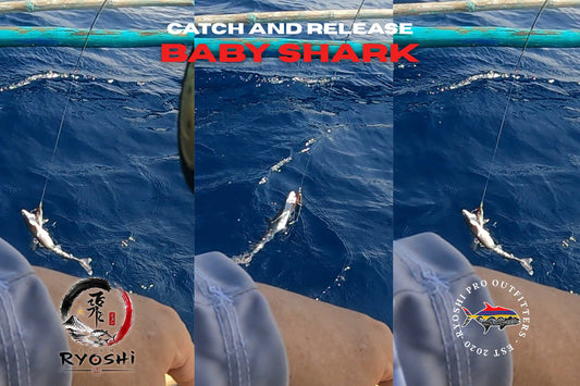 My catch and release baby shark caught during the 2nd Caluya Jigging Tournament, this shark cant resist the 200g RPO OU812 jig that is bigger than his mouth. - Ryoshi Pro Outfitters