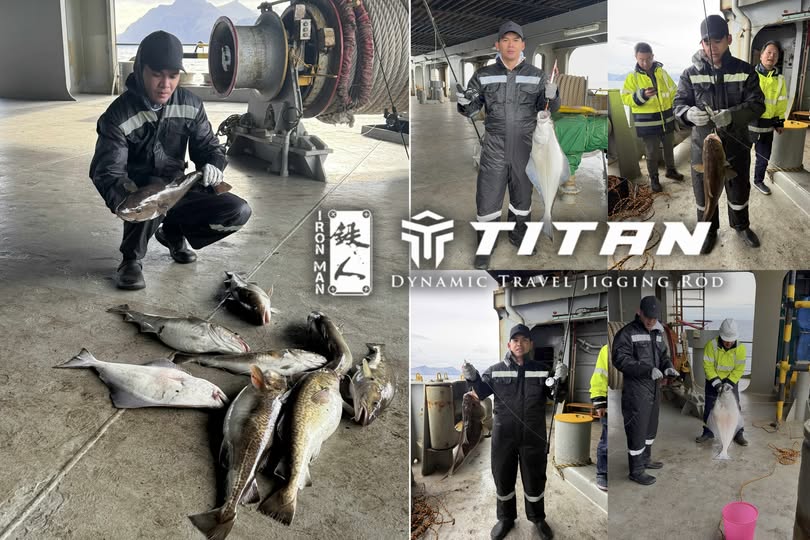 Mutiple jigging catches by angler Fel John with some halibut catches weighing as much as 14kg during their boat anchorage in alaska using Ironman TITAN DYNAMIC TRAVEL JIGGING ROD - Ryoshi Pro Outfitters