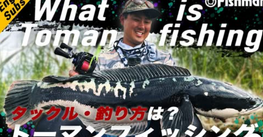 Fishing Toman with Fishman Tester Takehiro Nakamura!!! Video discusses what to use how to fish for toman and entire video is dubbed in English!!! Watch and like it now!!!! - Ryoshi Pro Outfitters