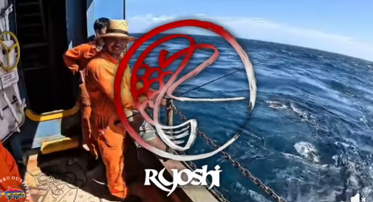 See the Power of Ironman Titan Dynamic Travel Jigging Rod as demonstrated by angler Koi JP as he battles this 16kg Giant trevally during their anchorage on turbulent super under current waters.  - Ryoshi Pro Outfitters