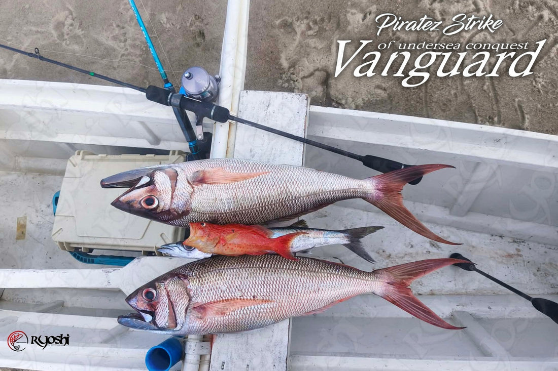 Multi specie catch by Angler/Ryoshi Pro tester Tejz Ligan using Piratez Strike Vanguard rod for his light jiggiing sessions.  - Ryoshi Pro Outfitters