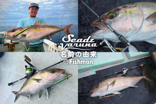 Fishman Seadz Varuna - The Fishman Seadz Varuna is a high performance 3 pc multi-section rod designed for travelling, its closed packed length is 67.5 cm enabling to be placed on most check in luggages. - Ryoshi Pro Outfitters
