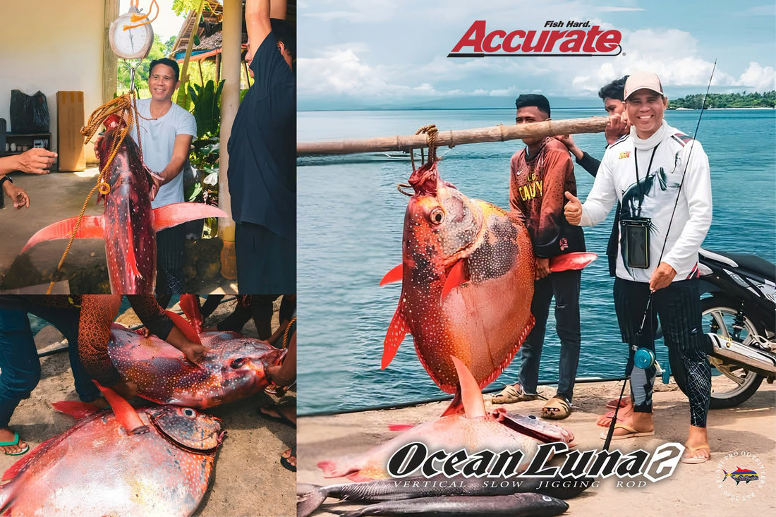 Angler Vice Mayor Belfe S. Duran of Team El Mayor caught this huge Moonfish/Diana weighing approximately 80kg and an 11kg oil fish using Senses Ocean Luna2 rod and Accurate Valiant VT2 600nn during their team’s last jigging session. -Ryoshi Pro Outfitters