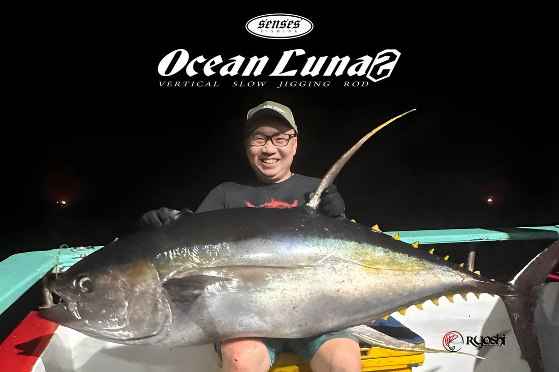This huge 75kg specimen of yellow fin tuna was caught using Senses Ocean Luna 2 Power 10 while jigging at the Andaman Sea in Thailand. - Ryoshi Pro Outfitters