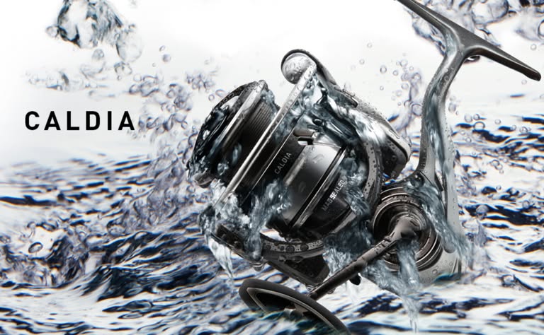 Daiwa 18 Caldia LT