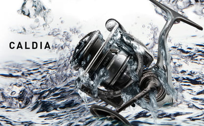 Daiwa 18 Caldia LT