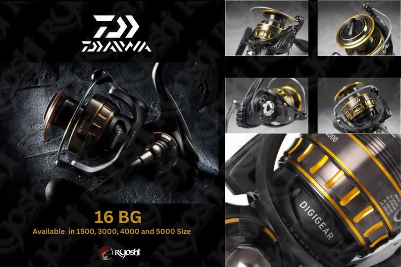 Daiwa 16 BG